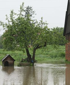"Sytuacja opanowana, ale z żywiołem nie da się wygrać"