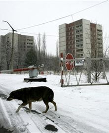 "To była sobota..." o katastrofie, która zmieniła świat