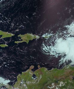 Ogromne zniszczenia po przejściu huraganu Emily