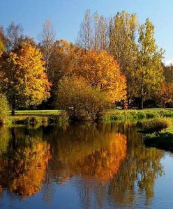 Długie noce, krótkie dni - byle do wiosny...