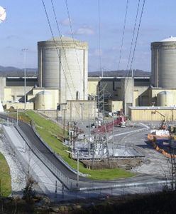 Ludzki łańcuch przed francuską elektrownią atomową