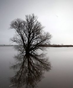 Groźny żywioł zbliża się do Kalifornii