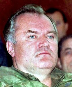 "Rzeźnika z Bałkanów" schwytano przez przypadek?