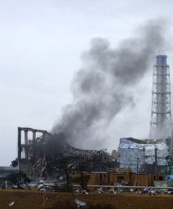 Japonia odrzuca żądania Greenpeace