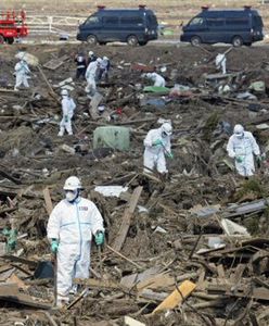 Fukushima: w kilku miejscach znaleziono pluton