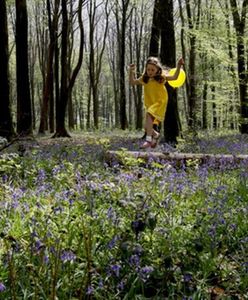 Warszawiacy to ludzie z lasu