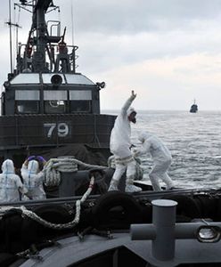 "Napromieniowane ryby mogą trafić na nasze stoły"