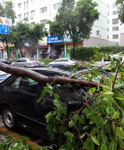 Tajfun Fanapi zabił 13 osób