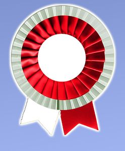 Jak dziś być patriotą?