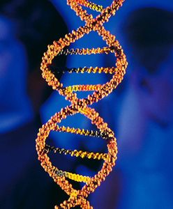 Geny odpowiedzialne za frekwencję wyborczą