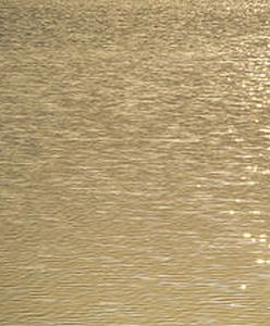 Czarny dzień nad wodami na Dolnym Śląsku