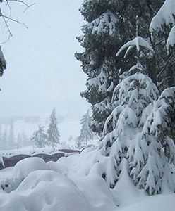 Kolejna ofiara zimy w Polsce