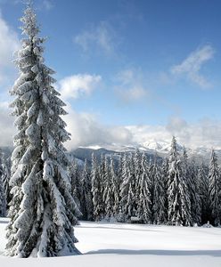 Dobre wiadomości pogodowe - robi się cieplej