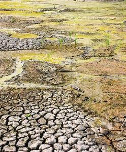 Czy za wyciekiem maili o globalnym ociepleniu stoi Rosja?