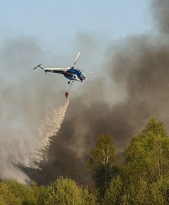 Strażacy opanowali pożar lasu w Dąbrowie Górniczej