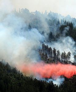 Kalifornia w ogniu - władze ogłosiły stan wyjątkowy