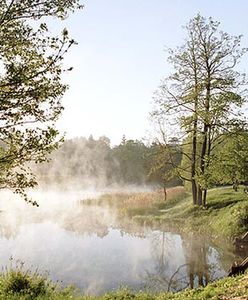 Mazury i Puszcza Białowieska w gronie półfinalistów