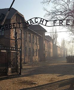 Rzym: wielka wystawa o Auschwitz-Birkenau