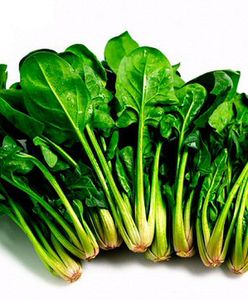 Liść-cyborg wytwarza prąd elektryczny