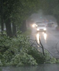 Meteorolodzy: niszczycielski żywioł może wyrywać drzewa z korzeniami