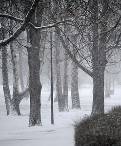 Atak mrozów: - 29 stopni, nie będzie cieplej - pustki w szkołach, autobusy stoją