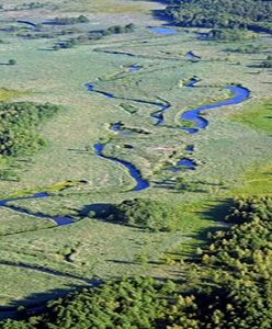 Nie będzie drogi przez dolinę Rospudy