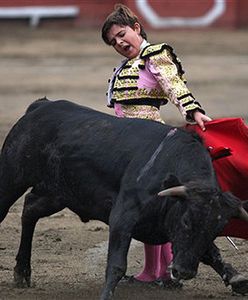 11-letni toreador zabił sześć byków