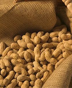 Amerykańskie linie lotnicze nie chcą orzeszków ziemnych