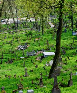 "Piłsudski=Hitler" - napis na bramie cmentarza na Rossie