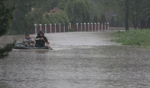 Powódź zniszczyła cenną kolekcję zabawek