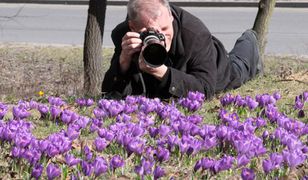 Przed weekendem silne wiatry i chłód? Sprawdź prognozę