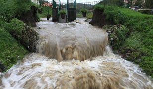Ulewa sparaliżowała Gdańsk - zalało główną ulicę miasta