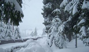 Kolejna ofiara zimy w Polsce