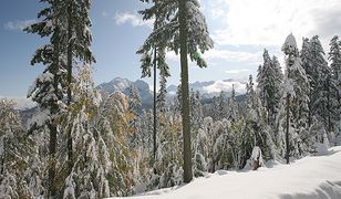 Już nie szukają mężczyzny zaginionego podczas śnieżycy