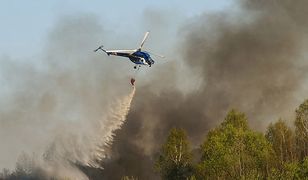 Strażacy opanowali pożar lasu w Dąbrowie Górniczej