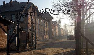 Resocjalizacja w Auschwitz dla więźniów z Małopolski
