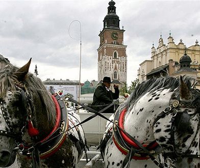 Kraków zagrożony przez zatkane śmieciami rzeki