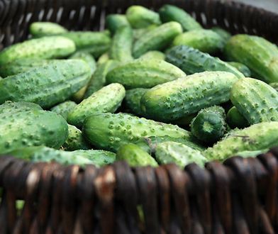 "Afera ogórkowa" szansą dla Polski?