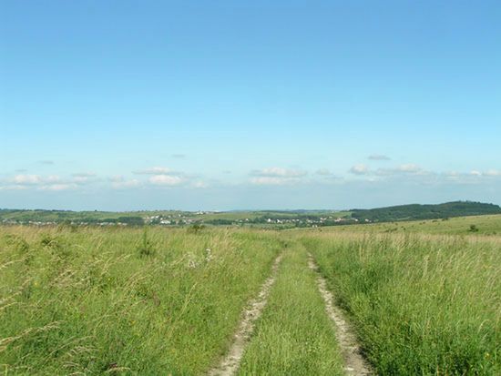 Obraz