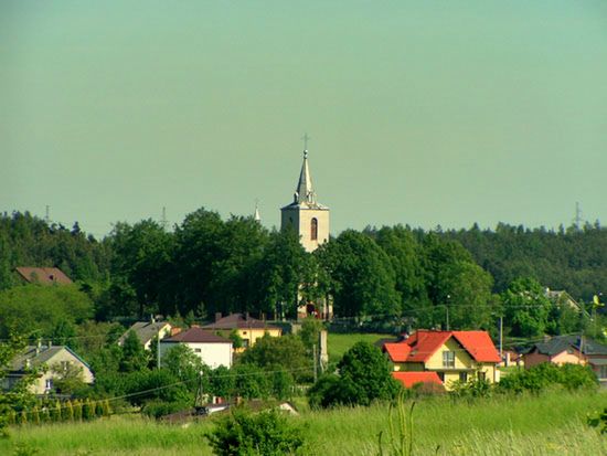 Obraz