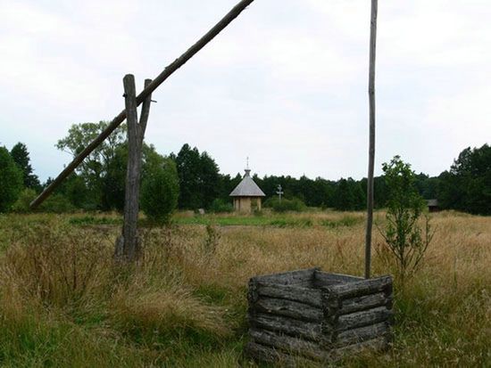 Obraz
