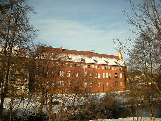 Obraz