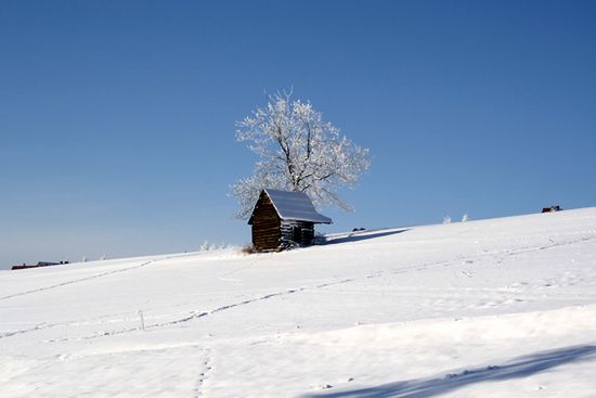 Obraz