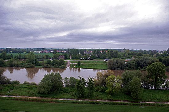 Obraz