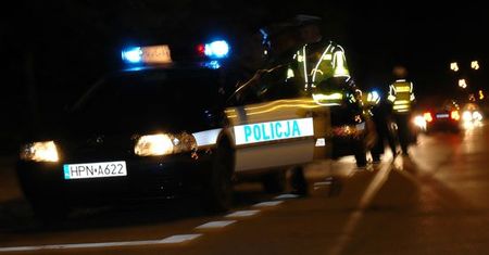 Kontrola drogowa ujawniła szereg przestępstw