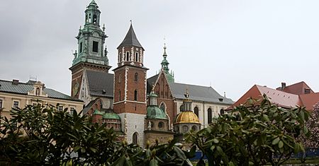 "Protestujący ws. Wawelu nie są prawdziwymi patriotami"