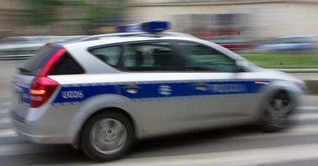 Pościg za polskimi złodziejami