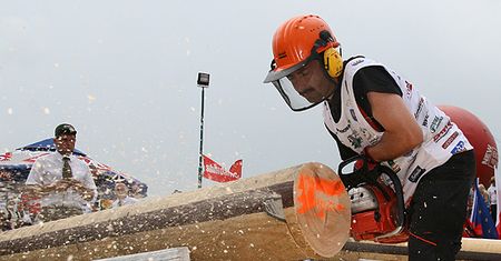 Rżną aż wióry lecą - zobacz zdjęcia