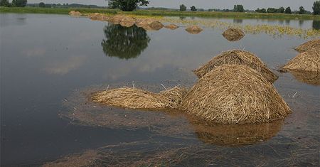 Prawie 400 mln strat po powodzi na Podkarpaciu