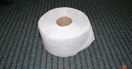 10 lat więzienia za kradzież rolki papieru toaletowego?